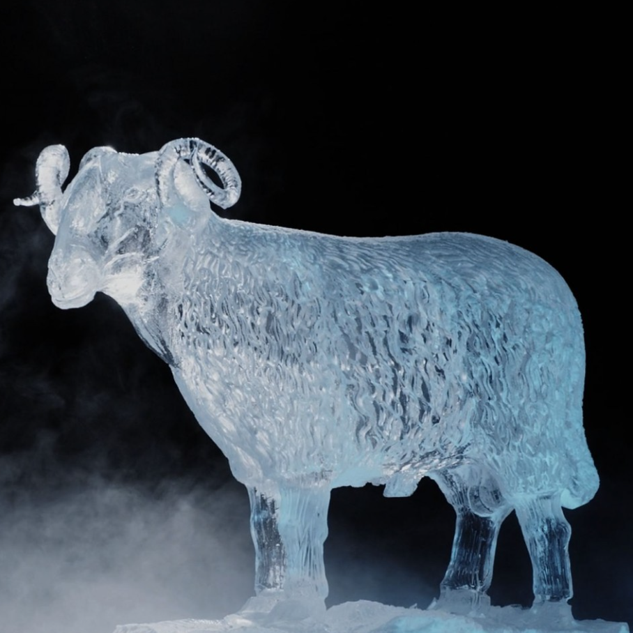 Sculpture sur glace