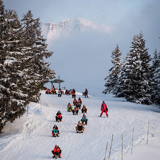 Grande descente en luge